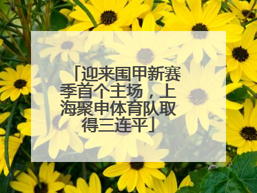 迎来围甲新赛季首个主场，上海聚申体育队取得三连平