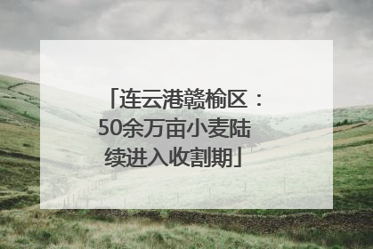 连云港赣榆区：50余万亩小麦陆续进入收割期