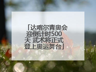 达喀尔青奥会迎倒计时500天 武术将正式登上奥运舞台