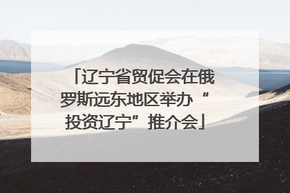 辽宁省贸促会在俄罗斯远东地区举办“投资辽宁”推介会