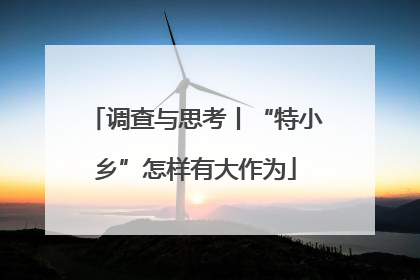 调查与思考丨“特小乡”怎样有大作为