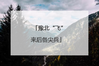 豫北“飞”来后备尖兵