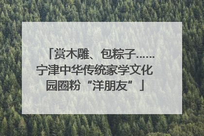 赏木雕、包粽子……宁津中华传统家学文化园圈粉“洋朋友”