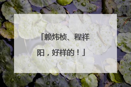 赖炜桢、程祥阳，好样的！