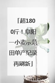 超1800斤！阜阳一小麦示范田单产纪录再刷新
