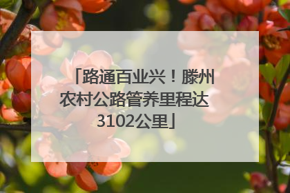 路通百业兴！滕州农村公路管养里程达3102公里