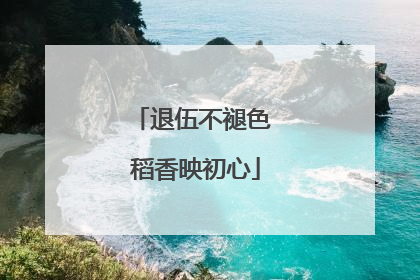 退伍不褪色 稻香映初心