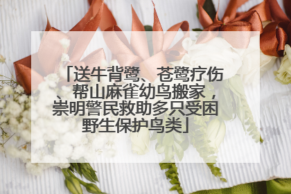 送牛背鹭、苍鹭疗伤、帮山麻雀幼鸟搬家，崇明警民救助多只受困野生保护鸟类