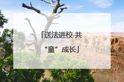送法进校 共“童”成长
