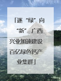 逐“绿”向“新” 广西兴业加速建设百亿绿色钙产业集群