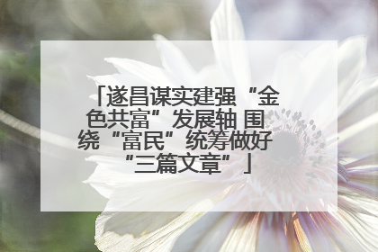 遂昌谋实建强“金色共富”发展轴 围绕“富民”统筹做好“三篇文章”