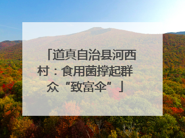 道真自治县河西村：食用菌撑起群众“致富伞”