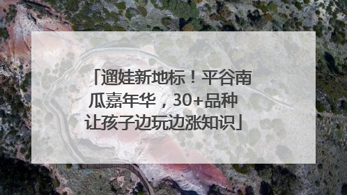 遛娃新地标！平谷南瓜嘉年华，30+品种让孩子边玩边涨知识