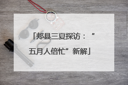 郏县三夏探访：“五月人倍忙”新解