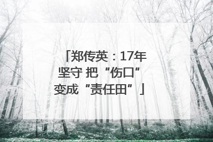 郑传英：17年坚守 把“伤口”变成“责任田”