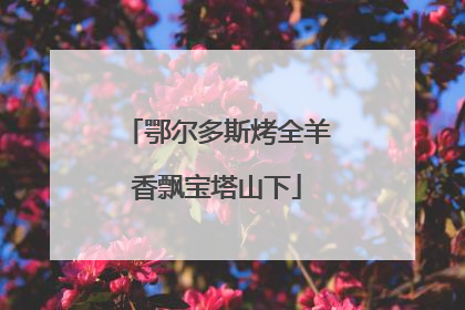 鄂尔多斯烤全羊香飘宝塔山下