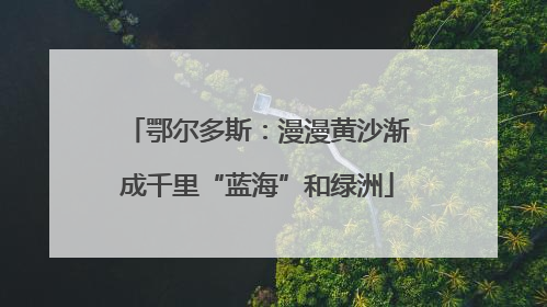 鄂尔多斯：漫漫黄沙渐成千里“蓝海”和绿洲