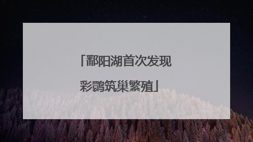 鄱阳湖首次发现彩鹮筑巢繁殖