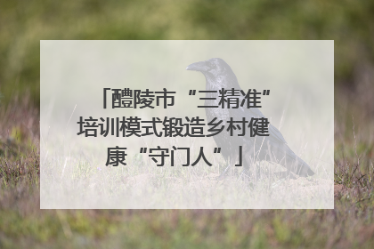 醴陵市“三精准”培训模式锻造乡村健康“守门人”