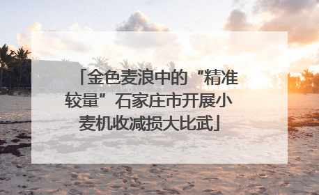 金色麦浪中的“精准较量”石家庄市开展小麦机收减损大比武