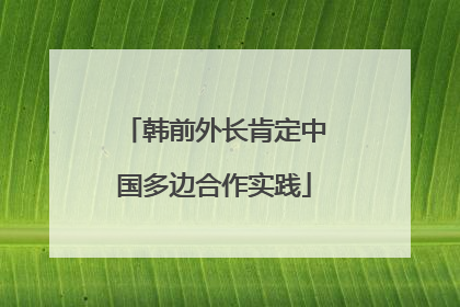 韩前外长肯定中国多边合作实践