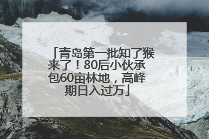 青岛第一批知了猴来了！80后小伙承包60亩林地，高峰期日入过万
