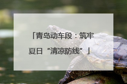青岛动车段：筑牢夏日“清凉防线”