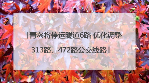 青岛将停运隧道6路 优化调整313路、472路公交线路
