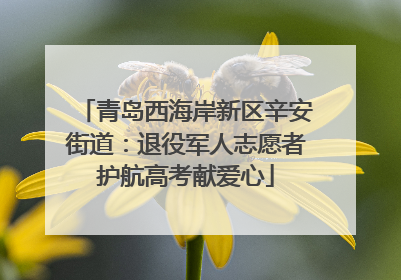 青岛西海岸新区辛安街道：退役军人志愿者护航高考献爱心