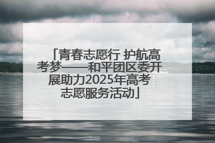 青春志愿行 护航高考梦——和平团区委开展助力2025年高考志愿服务活动