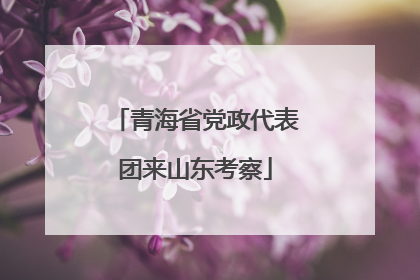 青海省党政代表团来山东考察