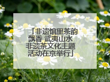 非遗馆里茶韵飘香 武夷山水非遗茶文化主题活动在京举行