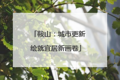 鞍山：城市更新绘就宜居新画卷