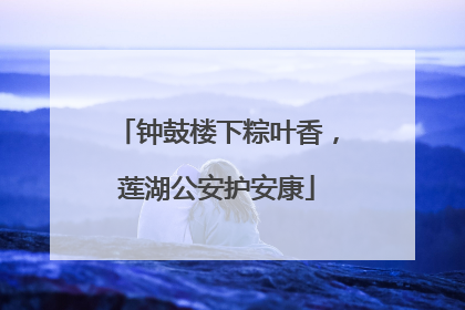 钟鼓楼下粽叶香，莲湖公安护安康