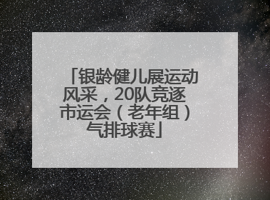 银龄健儿展运动风采，20队竞逐市运会（老年组）气排球赛