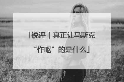 锐评｜真正让马斯克“作呕”的是什么