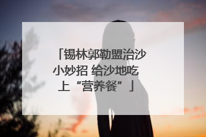 锡林郭勒盟治沙小妙招 给沙地吃上“营养餐”
