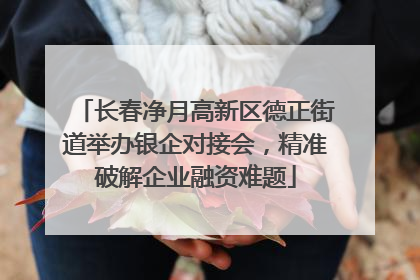 长春净月高新区德正街道举办银企对接会，精准破解企业融资难题
