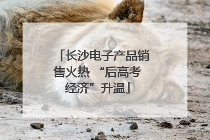 长沙电子产品销售火热 “后高考经济”升温
