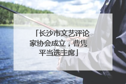 长沙市文艺评论家协会成立，曹隽平当选主席