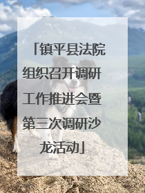 镇平县法院组织召开调研工作推进会暨第三次调研沙龙活动