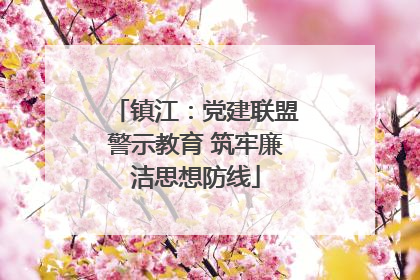 镇江：党建联盟警示教育 筑牢廉洁思想防线
