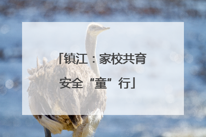 镇江：家校共育 安全“童”行