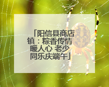 阳信县商店镇：粽香传情暖人心 老少同乐庆端午