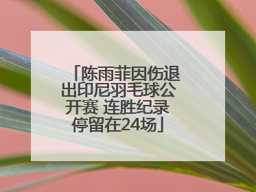 陈雨菲因伤退出印尼羽毛球公开赛 连胜纪录停留在24场