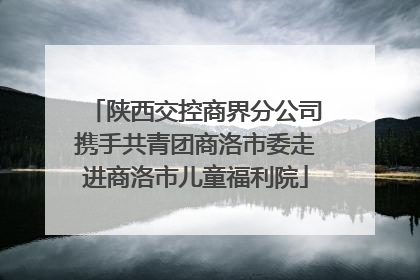 陕西交控商界分公司携手共青团商洛市委走进商洛市儿童福利院