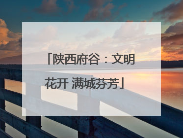 陕西府谷：文明花开 满城芬芳