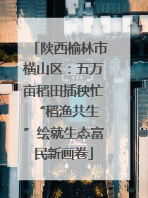 陕西榆林市横山区：五万亩稻田插秧忙 “稻渔共生”绘就生态富民新画卷