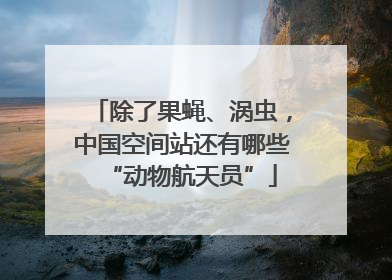 除了果蝇、涡虫，中国空间站还有哪些“动物航天员”