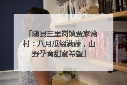随县三里岗镇贾家湾村：八月瓜缀满藤，山野孕育甜蜜希望